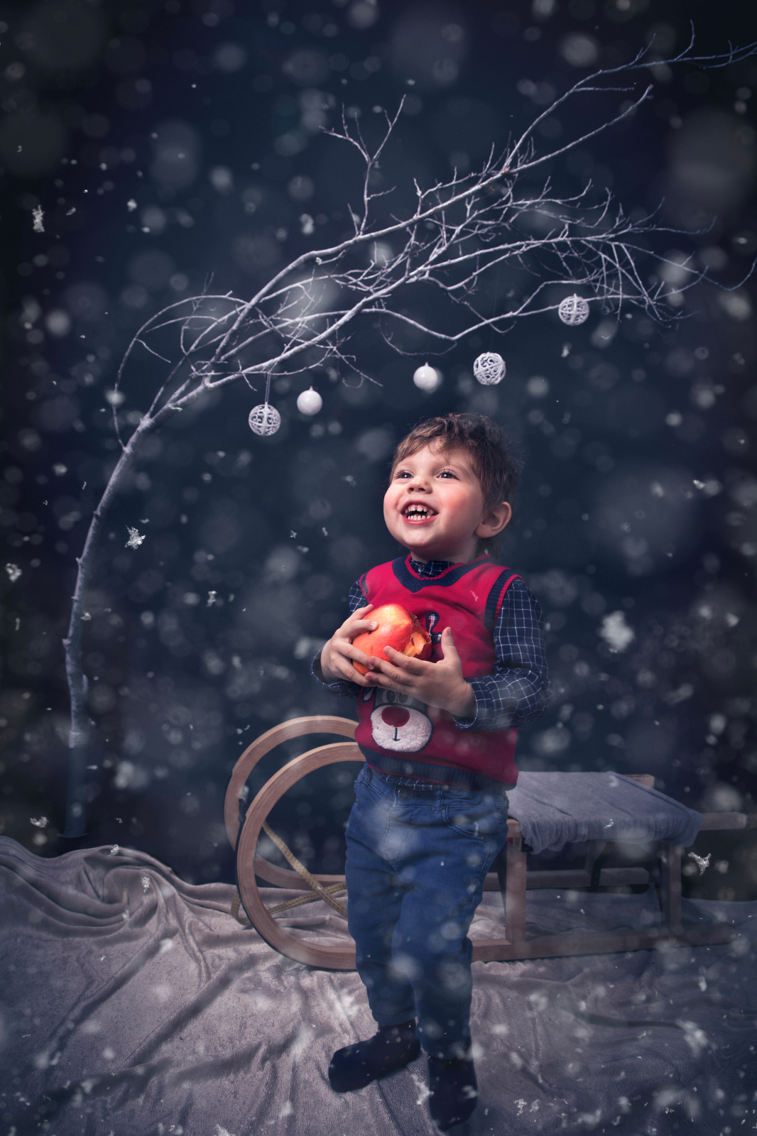 Sesiune foto Craciun Mihai si Tudor 0079 copy